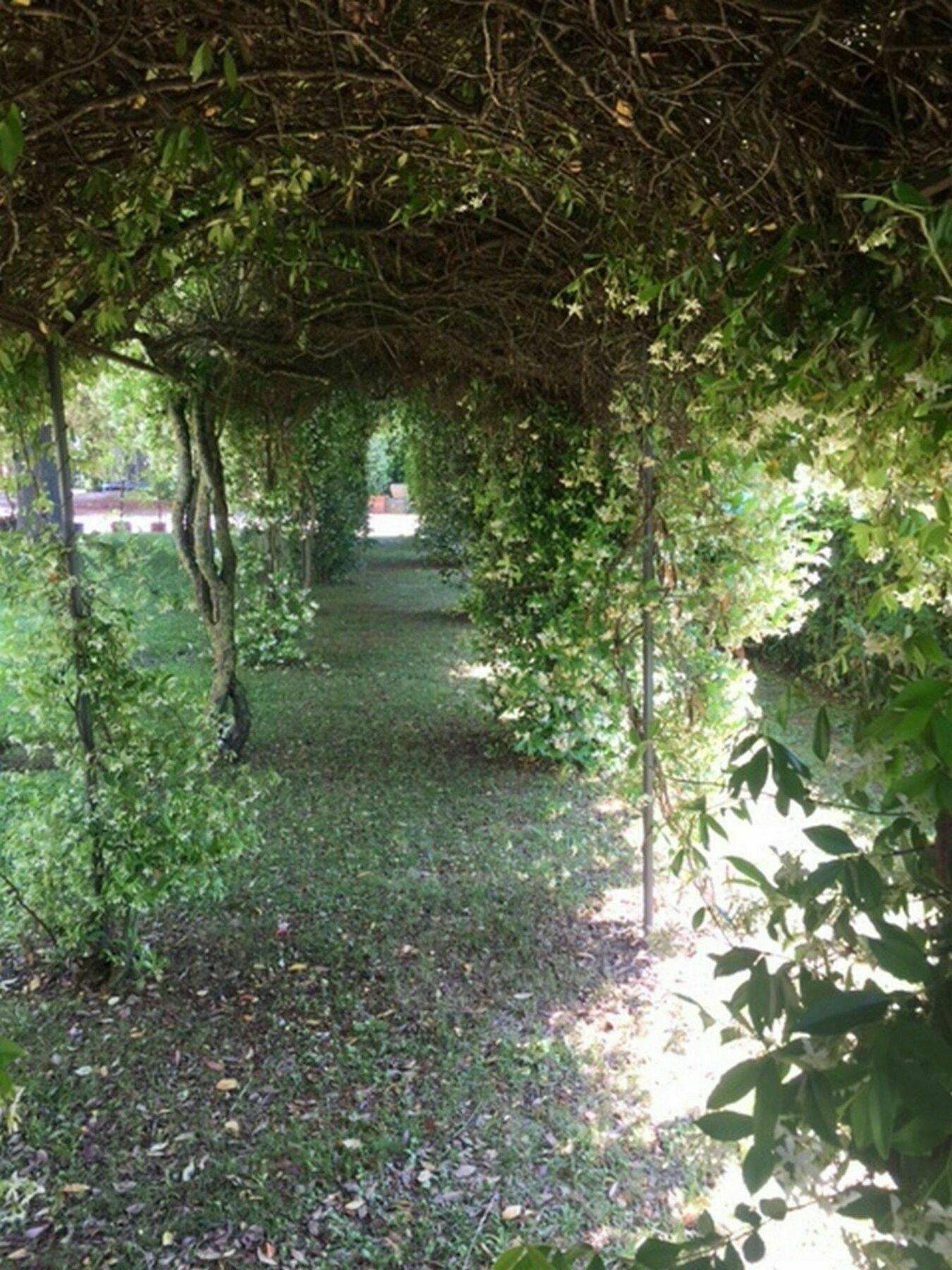 Relais Montemaggiore Bettolle Dış mekan fotoğraf